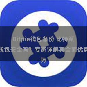 Bitpie钱包备份 比特派钱包安全吗？专家详解其全面优势