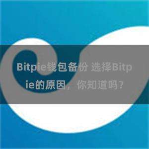 Bitpie钱包备份 选择Bitpie的原因，你知道吗？