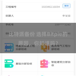 比特派备份 选择Bitpie的原因，你知道吗？