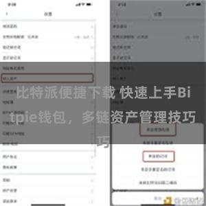 比特派便捷下载 快速上手Bitpie钱包，多链资产管理技巧