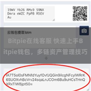 Bitpie在线客服 快速上手Bitpie钱包，多链资产管理技巧