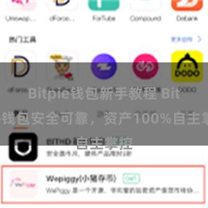 Bitpie钱包新手教程 Bitpie钱包安全可靠，资产100%自主掌控