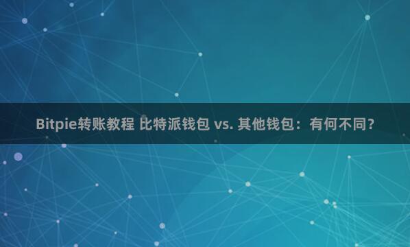 Bitpie转账教程 比特派钱包 vs. 其他钱包：有何不同？