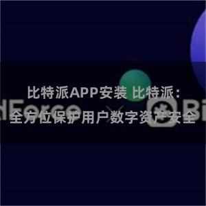 比特派APP安装 比特派：全方位保护用户数字资产安全