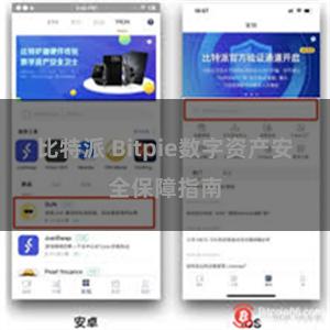 比特派 Bitpie数字资产安全保障指南