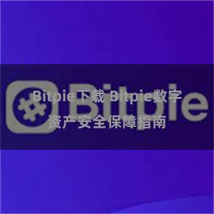 Bitpie下载 Bitpie数字资产安全保障指南