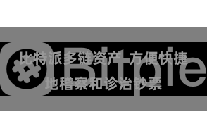 比特派多链资产  方便快捷地稽察和诊治钞票