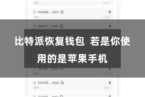 比特派恢复钱包  若是你使用的是苹果手机