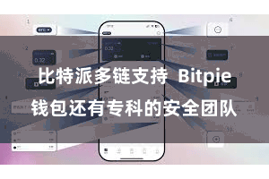 比特派多链支持  Bitpie钱包还有专科的安全团队